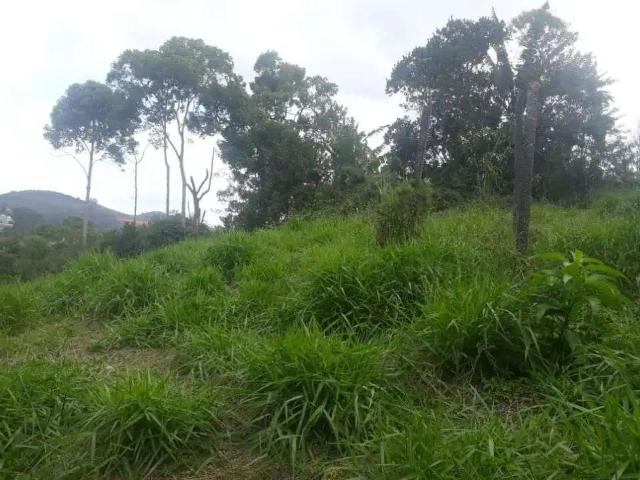Terreno / Lote para Venda em Juiz de Fora/MG Bosque do Imperador