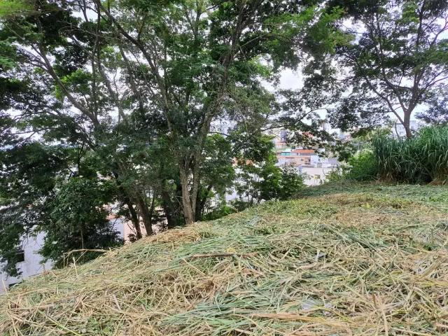 Terreno / Lote para Venda em Juiz de Fora/MG Cascatinha
