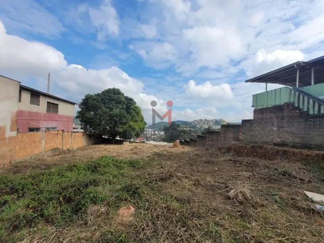 Terreno / Lote para Venda em Juiz de Fora/MG Centenário