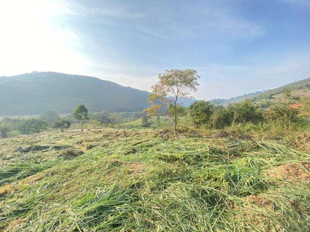 Terreno / Lote para Venda em Juiz de Fora/MG Chácaras Passos Del Rey