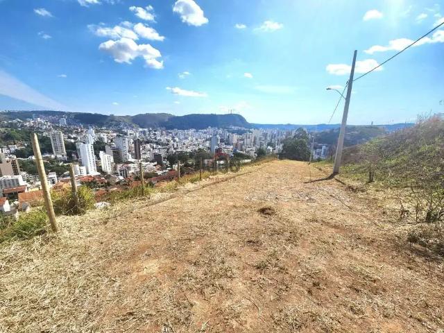 Terreno / Lote para Venda em Juiz de Fora/MG Cidade Jardim