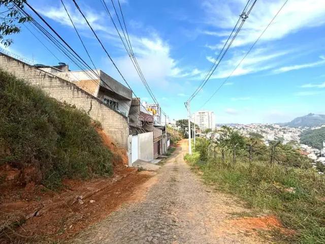 Terreno / Lote para Venda em Juiz de Fora/MG Cidade Jardim