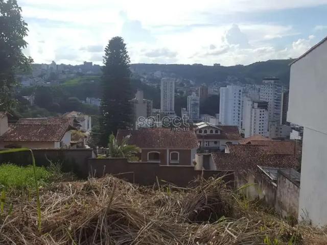 Terreno / Lote para Venda em Juiz de Fora/MG Cidade Jardim