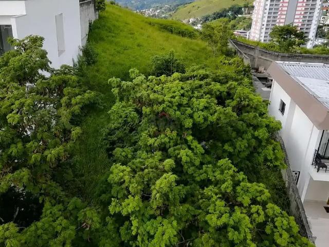 Terreno / Lote para Venda em Juiz de Fora/MG Cidade Jardim