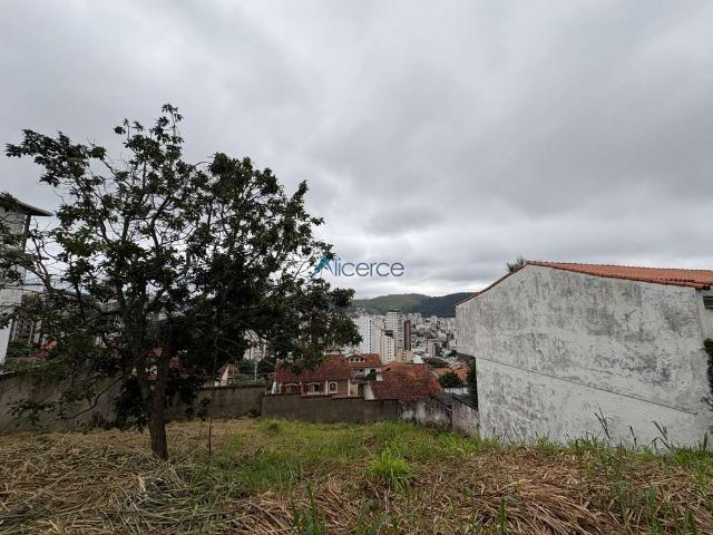 Terreno / Lote para Venda em Juiz de Fora/MG Cidade Jardim