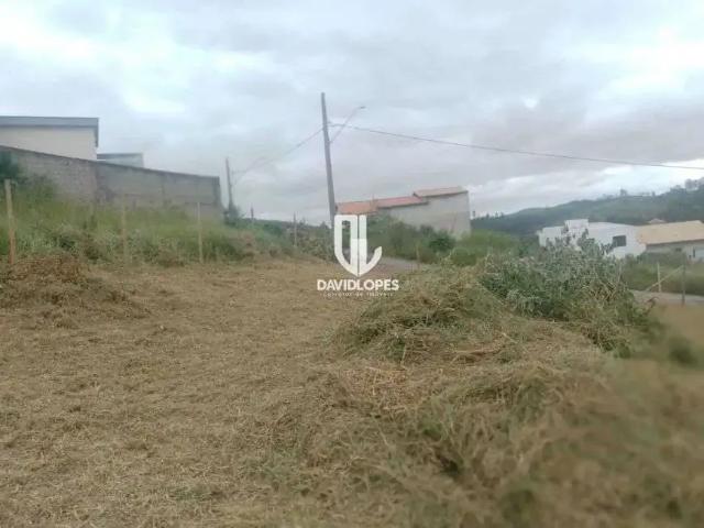 Terreno / Lote para Venda em Juiz de Fora/MG Filgueiras