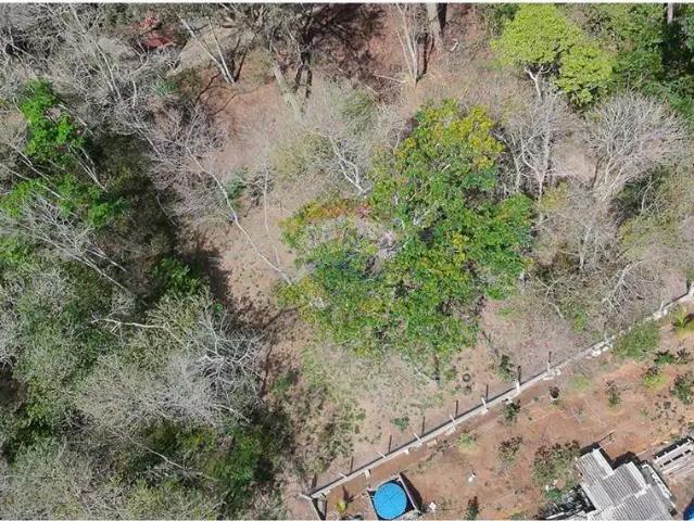 Terreno / Lote para Venda em Juiz de Fora/MG Floresta