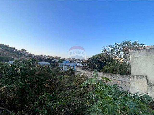 Terreno / Lote para Venda em Juiz de Fora/MG Francisco Bernardino