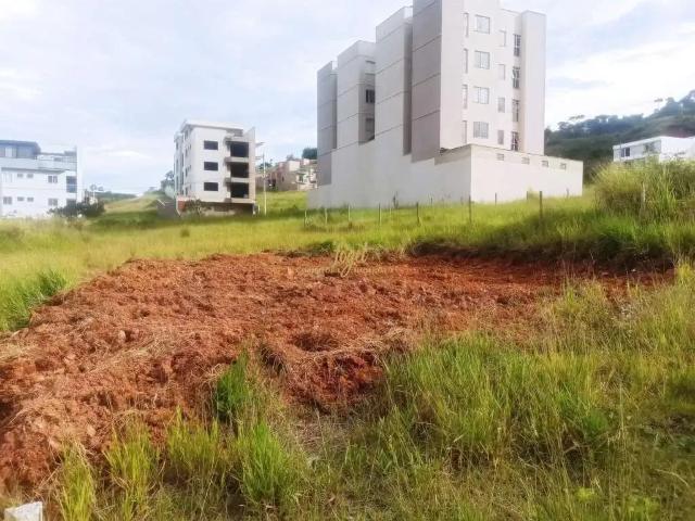 Terreno / Lote para Venda em Juiz de Fora/MG Francisco Bernardino