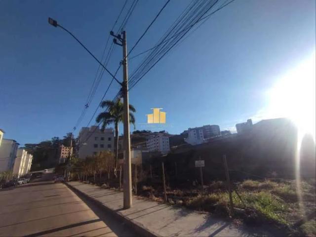 Terreno / Lote para Venda em Juiz de Fora/MG Francisco Bernardino