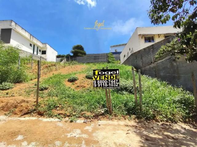 Terreno / Lote para Venda em Juiz de Fora/MG Francisco Bernardino