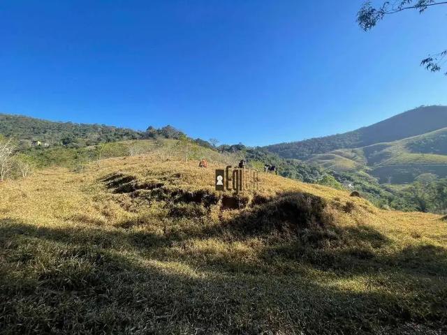 Terreno / Lote para Venda em Juiz de Fora/MG Graminha