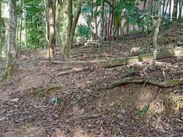 Terreno / Lote para Venda em Juiz de Fora/MG Granjas Betânia