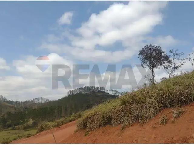 Terreno / Lote para Venda em Juiz de Fora/MG Igrejinha