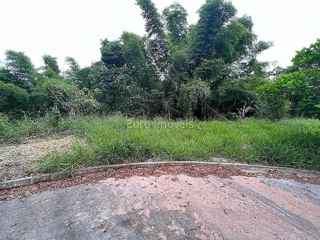Terreno / Lote para Venda em Juiz de Fora/MG Jardim Glória