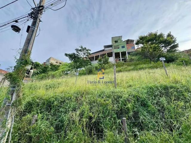 Terreno / Lote para Venda em Juiz de Fora/MG Jardim de Alá