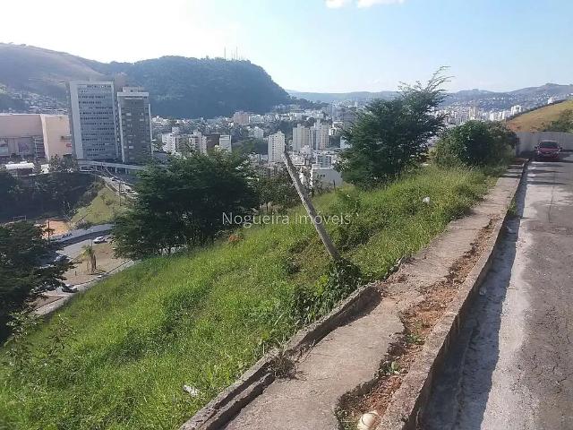 Terreno / Lote para Venda em Juiz de Fora/MG Jardim Liú