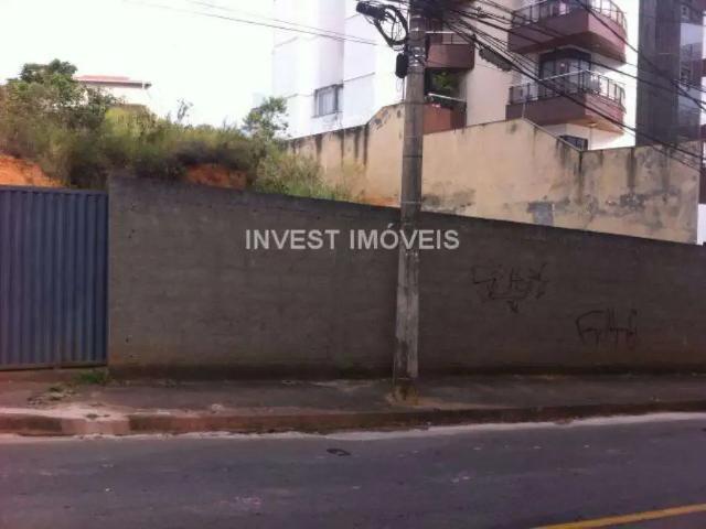 Terreno / Lote para Venda em Juiz de Fora/MG Jardim Liú