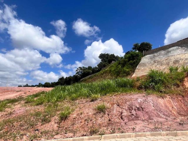 Terreno / Lote para Venda em Juiz de Fora/MG Marilândia