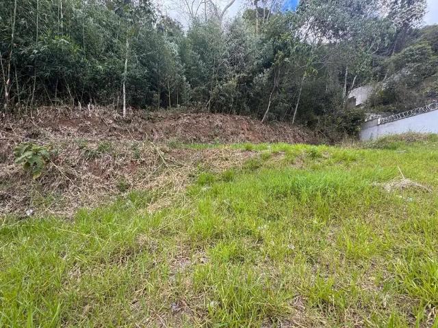 Terreno / Lote para Venda em Juiz de Fora/MG Marilândia