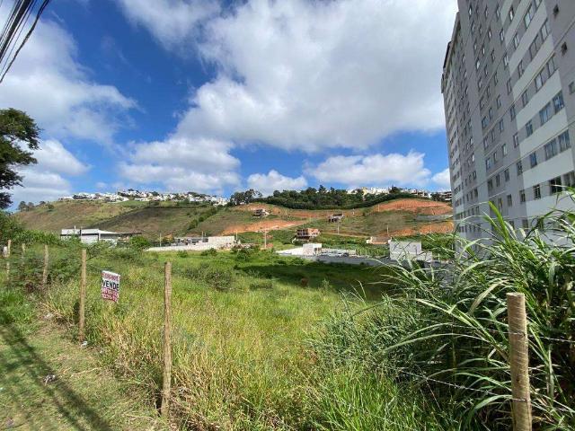 Terreno / Lote para Venda em Juiz de Fora/MG Marilândia