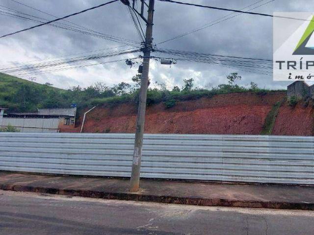 Terreno / Lote para Venda em Juiz de Fora/MG Monte Castelo
