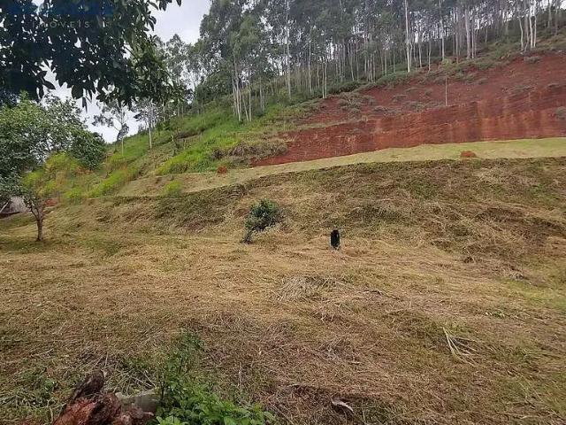 Terreno / Lote para Venda em Juiz de Fora/MG Náutico