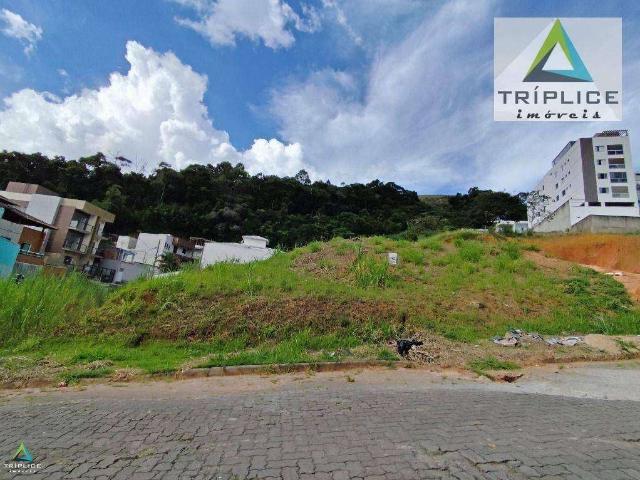 Terreno / Lote para Venda em Juiz de Fora/MG Nossa Senhora de Lourdes
