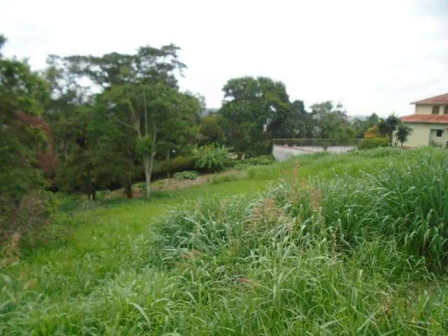 Terreno / Lote para Venda em Juiz de Fora/MG Novo Horizonte