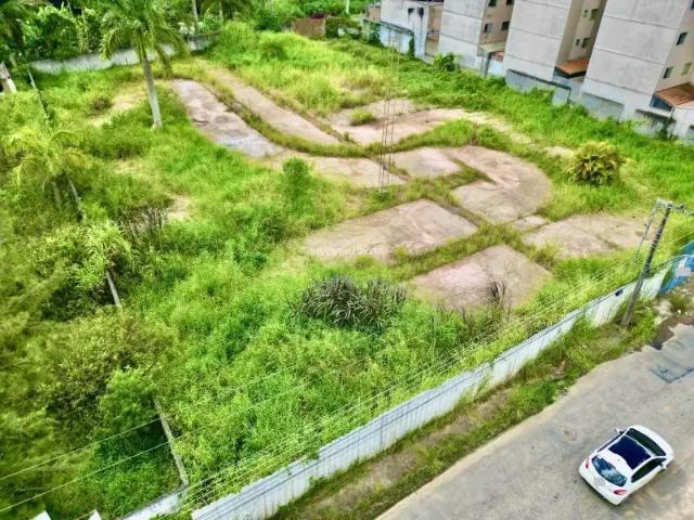 Terreno / Lote para Venda em Juiz de Fora/MG Novo Horizonte
