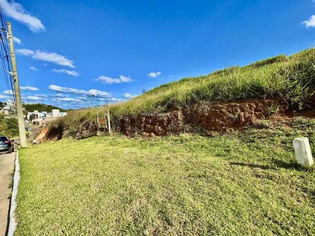 Terreno / Lote para Venda em Juiz de Fora/MG Novo Horizonte