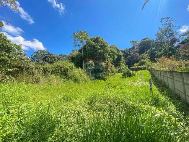 Terreno / Lote para Venda em Juiz de Fora/MG Novo Horizonte