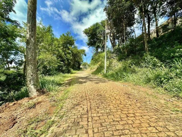 Terreno / Lote para Venda em Juiz de Fora/MG Novo Horizonte