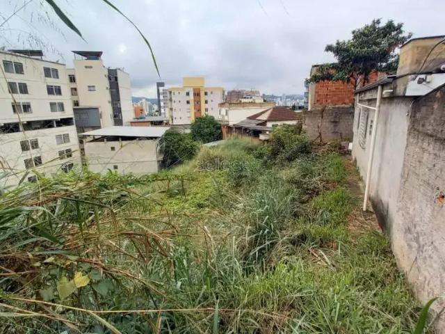 Terreno / Lote para Venda em Juiz de Fora/MG Paineiras