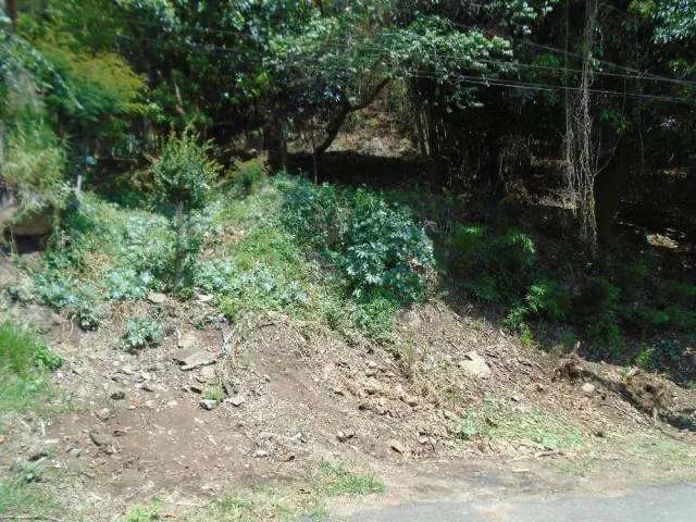 Terreno / Lote para Venda em Juiz de Fora/MG Paineiras