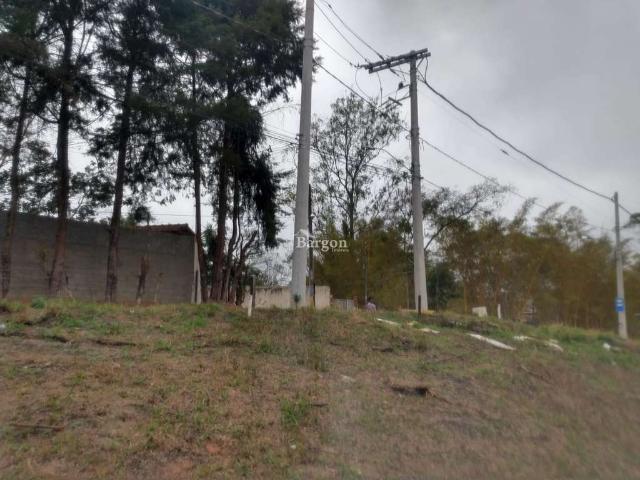 Terreno / Lote para Venda em Juiz de Fora/MG Parque Guarani