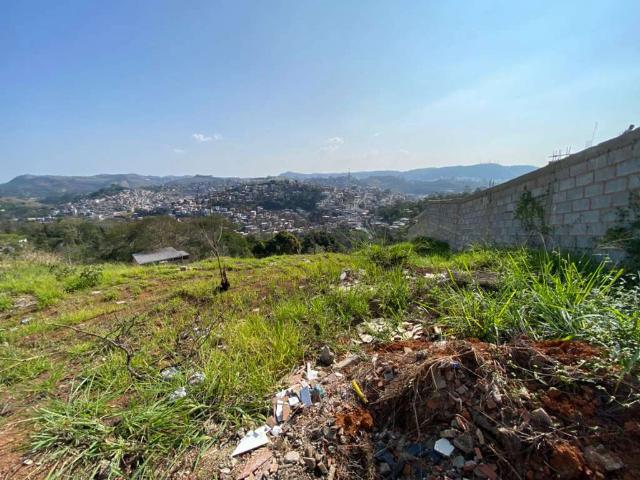 Terreno / Lote para Venda em Juiz de Fora/MG Parque Serra Verde