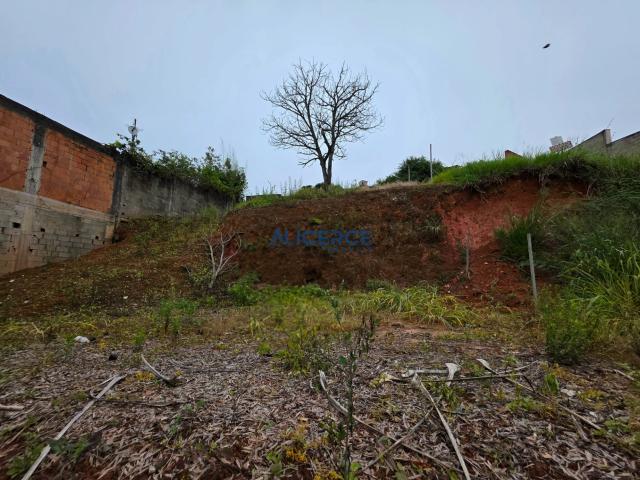 Terreno / Lote para Venda em Juiz de Fora/MG Quintas das Avenidas