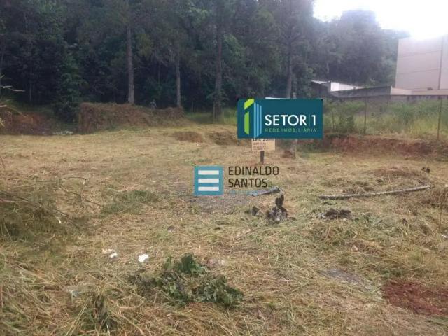 Terreno / Lote para Venda em Juiz de Fora/MG Recanto da Mata