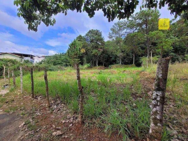 Terreno / Lote para Venda em Juiz de Fora/MG Recanto da Mata