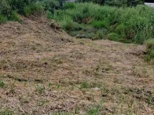 Terreno / Lote para Venda em Juiz de Fora/MG Recanto da Mata