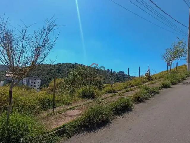 Terreno / Lote para Venda em Juiz de Fora/MG Recanto da Mata