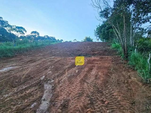 Terreno / Lote para Venda em Juiz de Fora/MG Rosário de Minas
