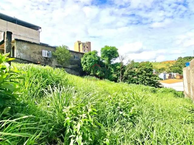 Terreno / Lote para Venda em Juiz de Fora/MG São Geraldo