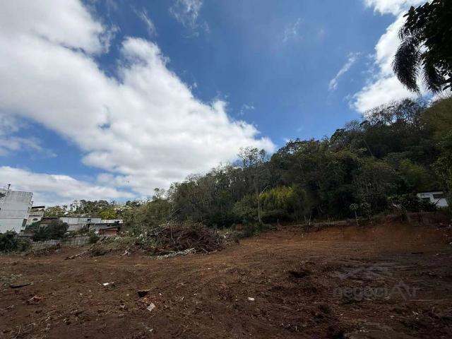 Terreno / Lote para Venda em Juiz de Fora/MG São Pedro