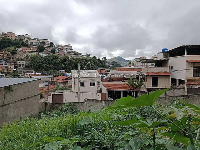 Terreno / Lote para Venda em Juiz de Fora/MG Santa Luzia