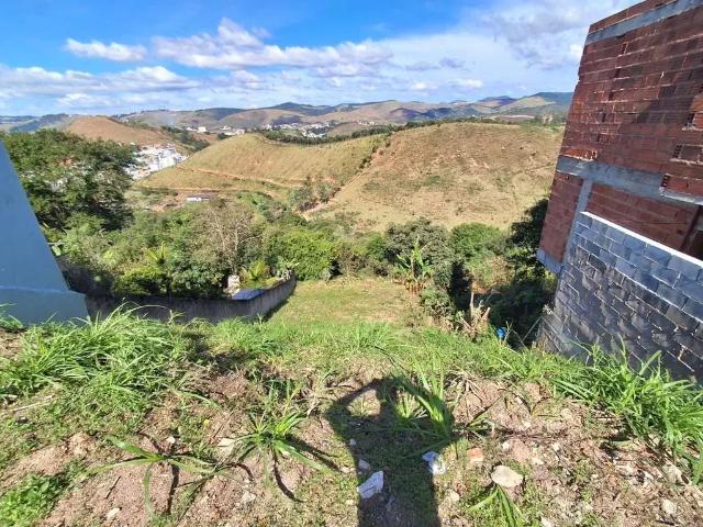 Terreno / Lote para Venda em Juiz de Fora/MG Santa Maria