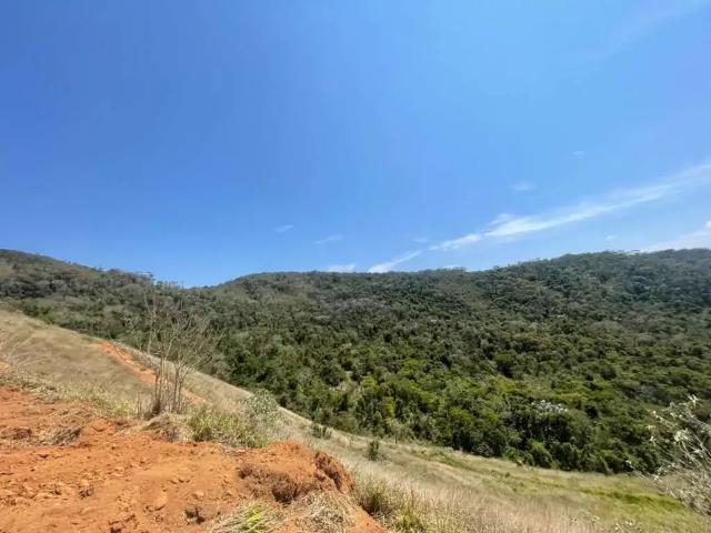 Terreno / Lote para Venda em Juiz de Fora/MG Santo Antônio
