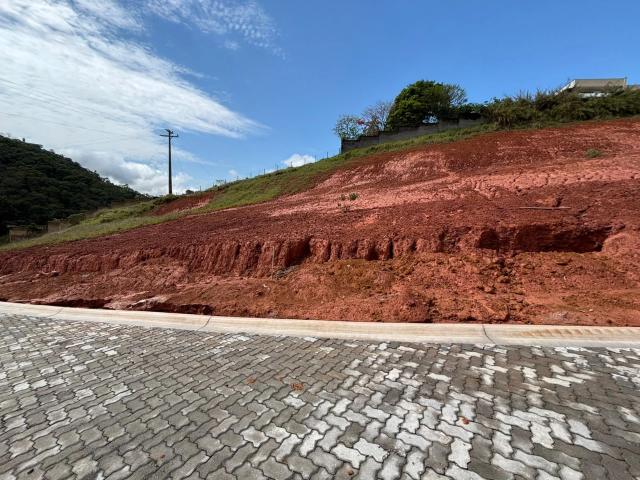 Terreno / Lote para Venda em Juiz de Fora/MG Salvaterra