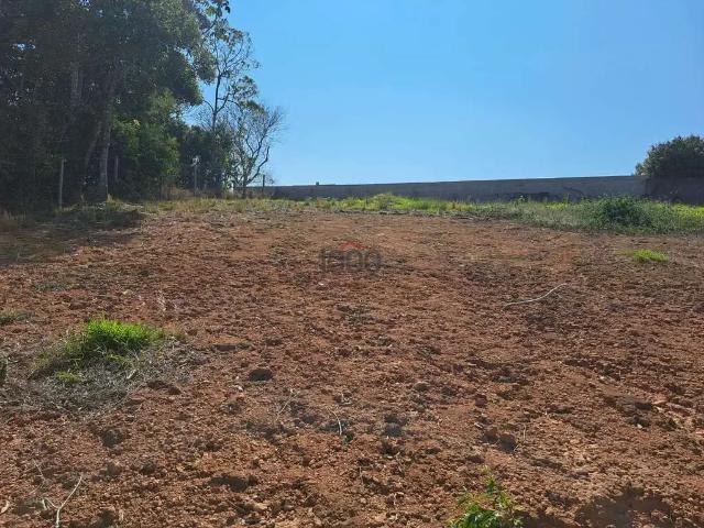 Terreno / Lote para Venda em Juiz de Fora/MG Salvaterra